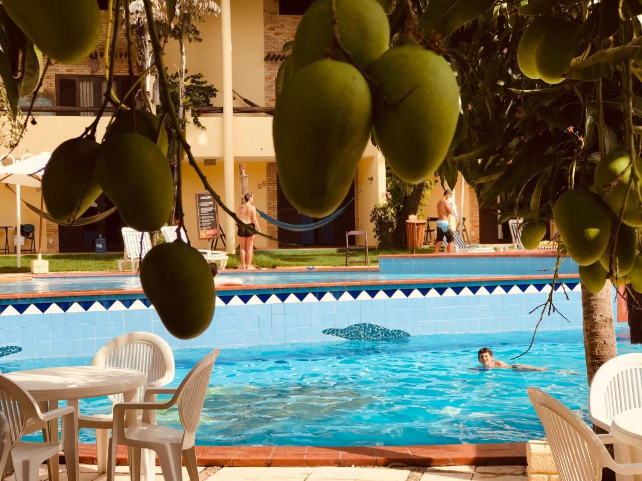 Pipa Flat Solar Apartment Praia de Pipa Екстериор снимка